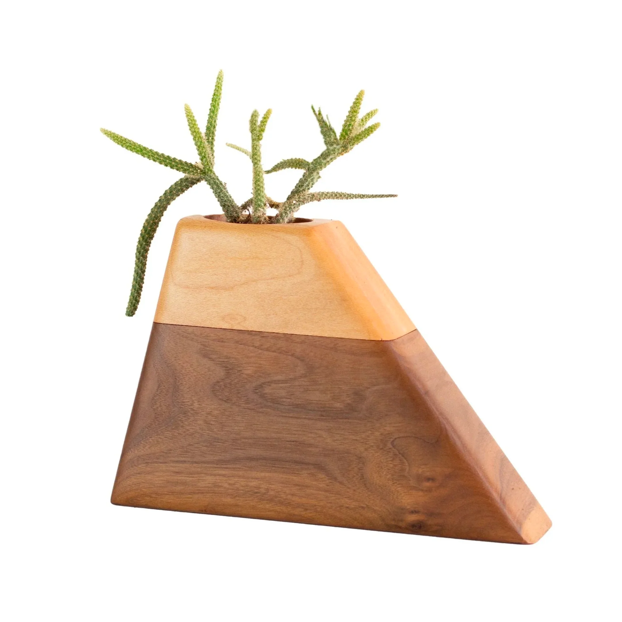 The Casey Plant Urn in Walnut & Sycamore - Image 4
