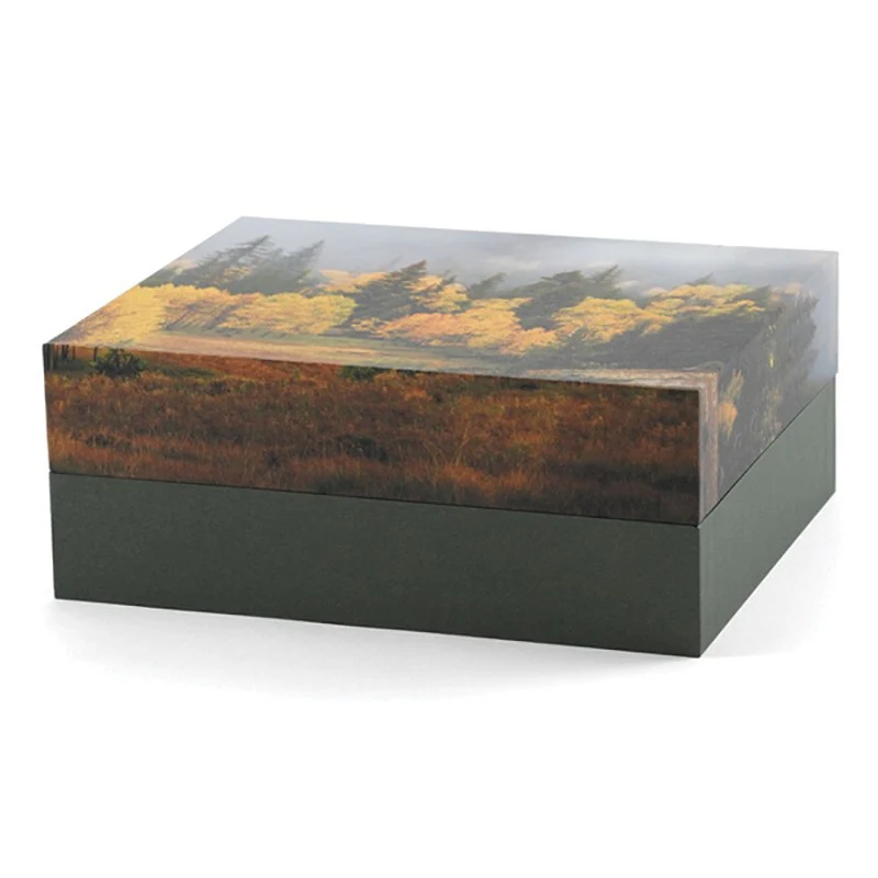 The Autumn Scattering Urn - Image 3